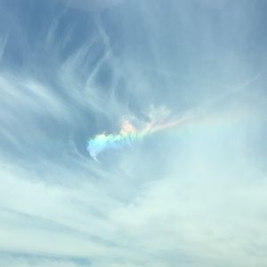 Meet your Posher, Tally